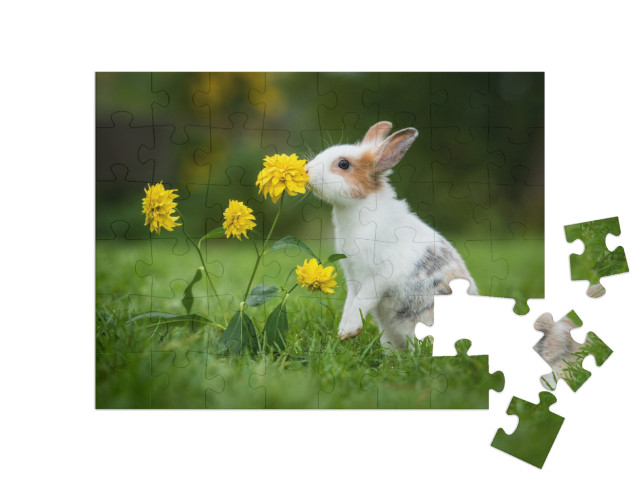 puzzle 48 dílků „Malý zvědavý králík“