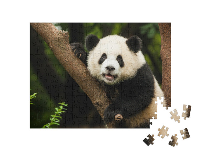 puzzle 200 dílků „Panda ve svém přirozeném prostředí“