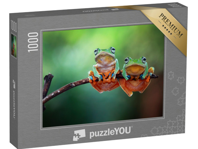 puzzle 1000 dílků „Dvě žáby na větvi“