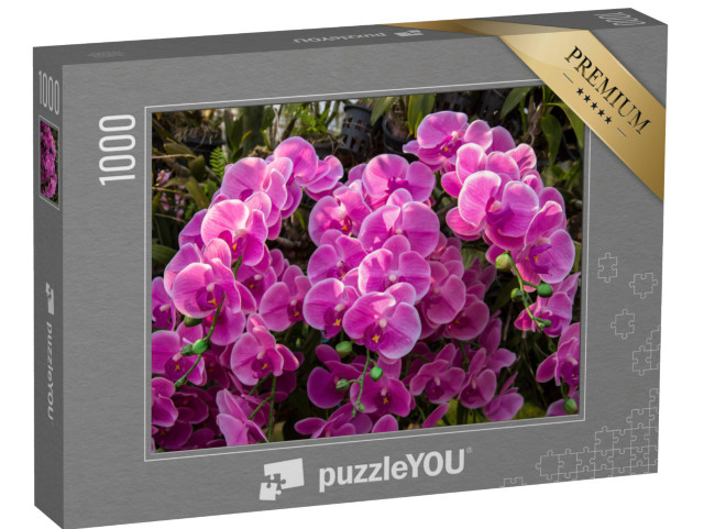 puzzle 1000 dílků „Moře květů v orchidejové zahradě“