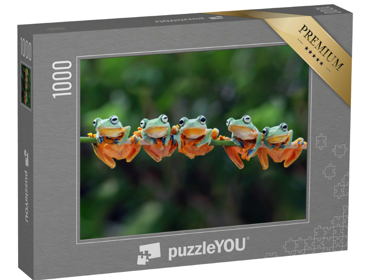 puzzle 1000 dílků „Okouzlující stromové žáby jávské“