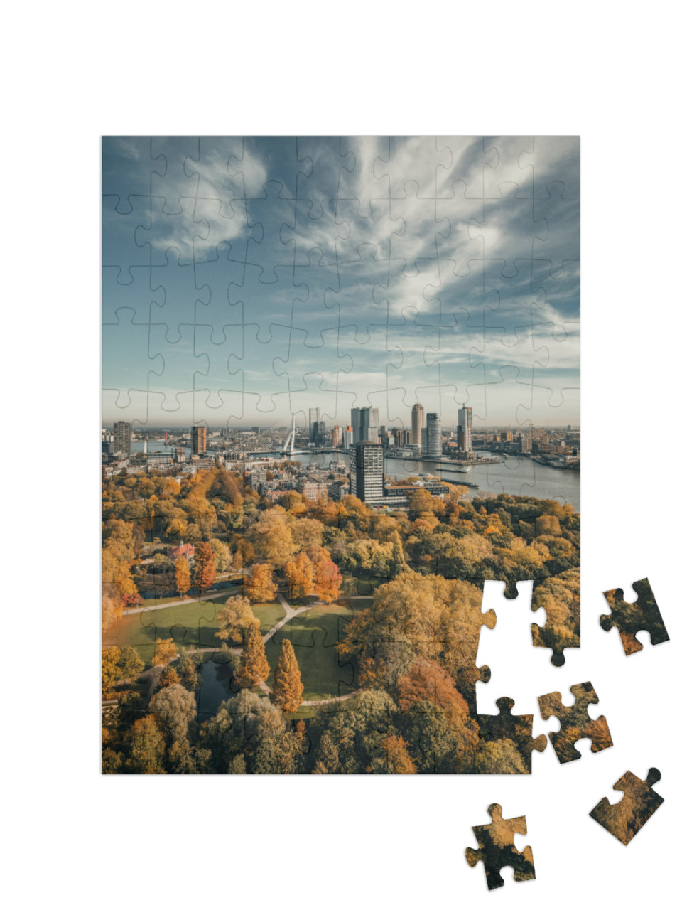 puzzle 100 dílků „Panorama Rotterdamu, Nizozemsko“