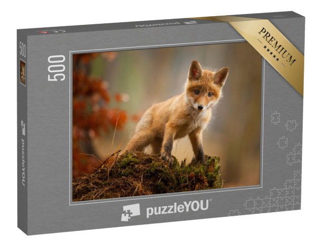puzzle 500 dílků „Mladá liška“