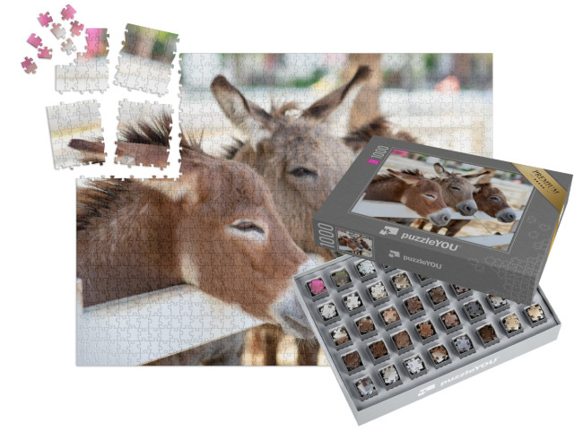 SMART SORTED® | Puzzle 1000 dílků „Tři zvědaví osli u plotu“