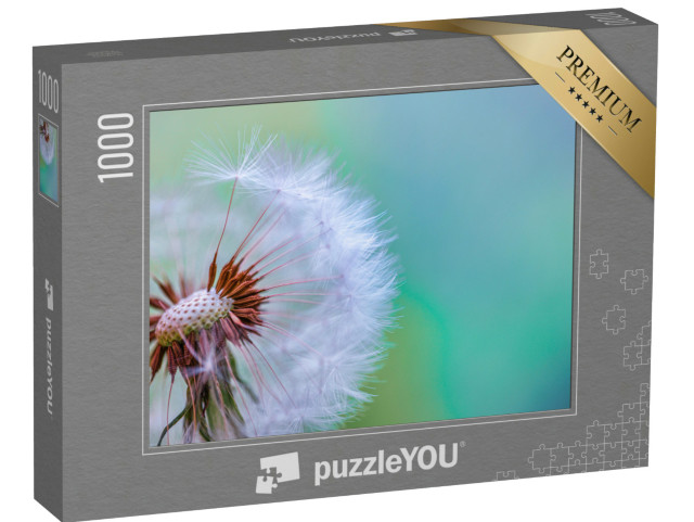 puzzle 1000 dílků „Detailní záběr abstraktní pampelišky, umělecký detailní záběr přírody. S...“
