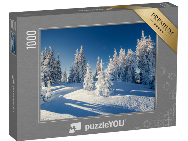 puzzle 1000 dílků „Nádherná zimní krajina v prosluněném horském lese“