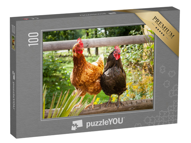 puzzle 100 dílků „Šťastné slepice na venkovním dřevěném plotě“