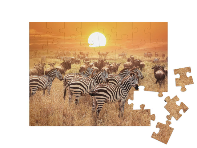 puzzle 48 dílků „Zebra při západu slunce v národním parku Serengeti, Afrika, Tanzanie“