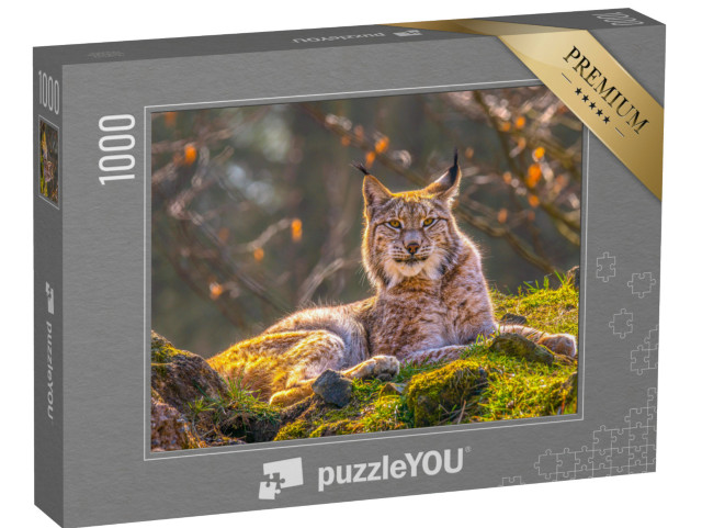 puzzle 1000 dílků „Mladý rys v divočině lesa“