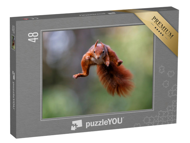 puzzle 48 dílků „Červená veverka skáče lesem“