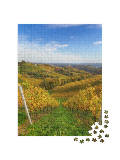 puzzle 1000 dílků „Vinice pod tmavě modrou oblohou na podzim“
