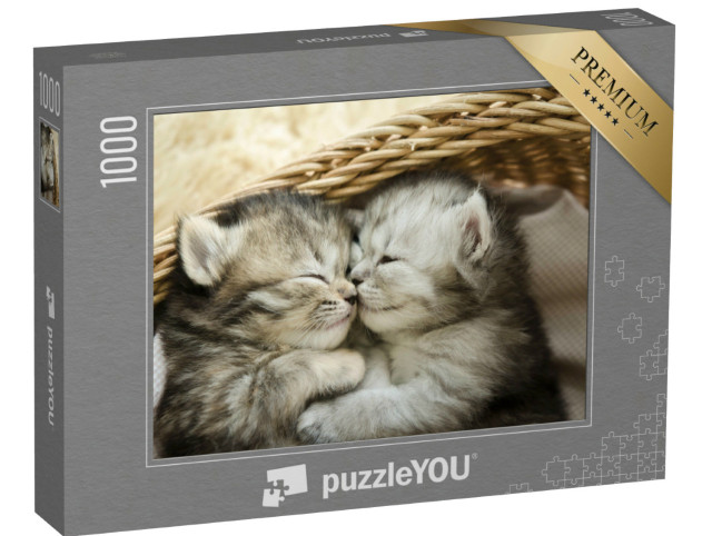 puzzle 1000 dílků „Dvě roztomilá spící tygří koťata“
