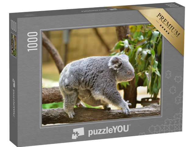 puzzle 1000 dílků „Mládě koaly se drží matky na břiše“