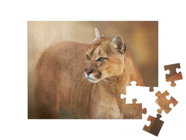 puzzle 48 dílků „Puma se zelenýma očima“