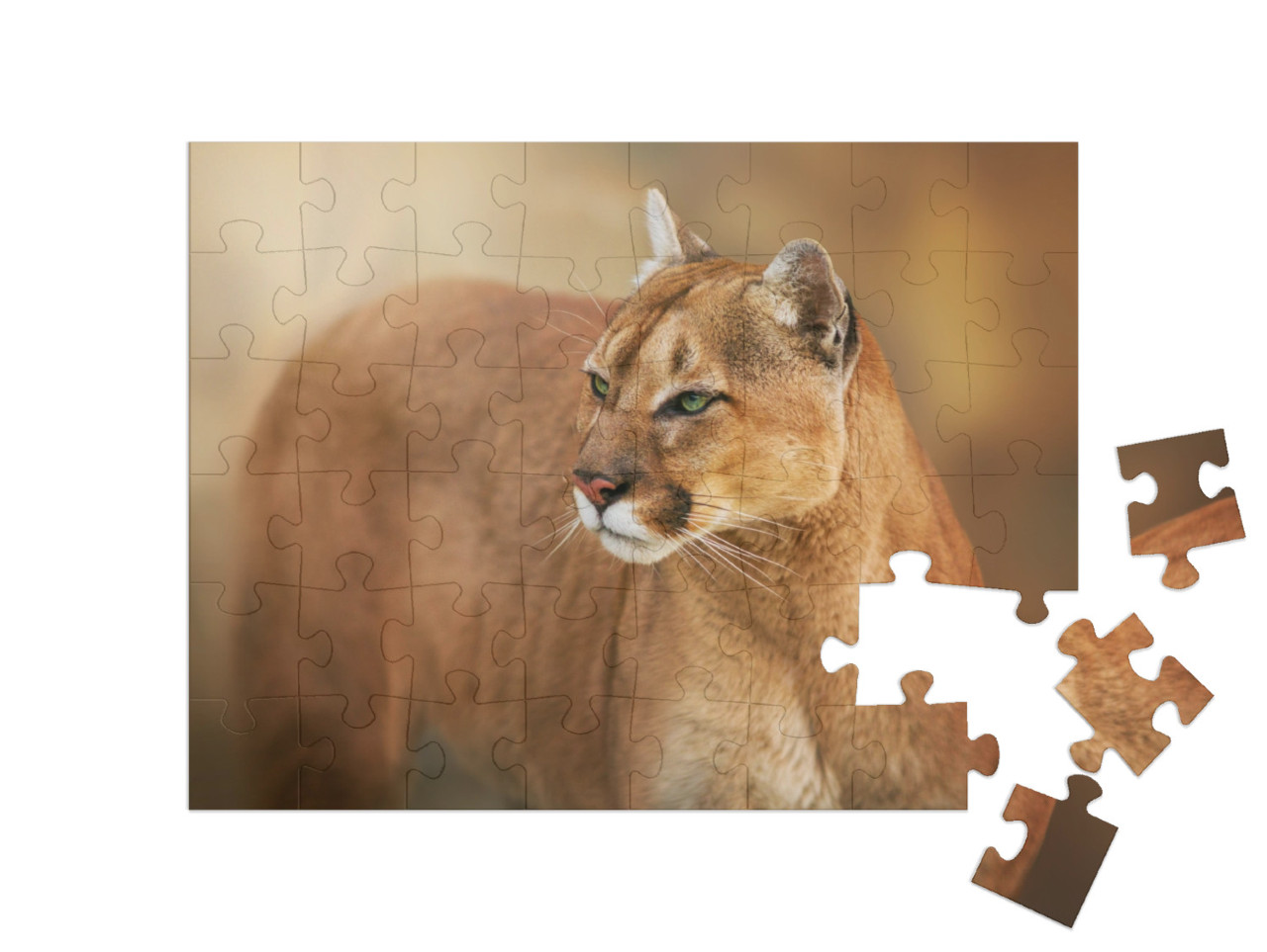 puzzle 48 dílků „Puma se zelenýma očima“