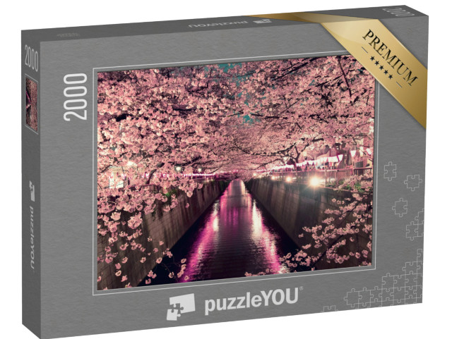 puzzle 2000 dílků „Třešňové květy v noci v Tokiu“