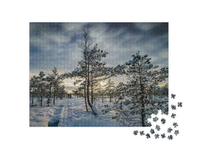 puzzle 1000 dílků „Zimní krajina, Karpatský národní park, Ukrajina“