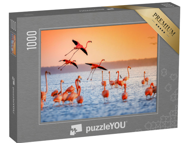 puzzle 1000 dílků „Růžoví plameňáci při západu slunce“