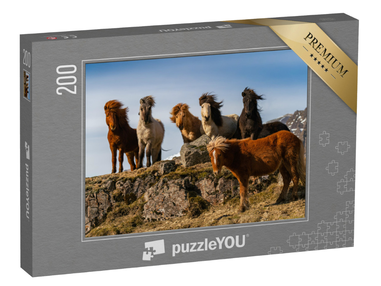 puzzle 200 dílků „Stádo islandských koní v bouřlivém větru“