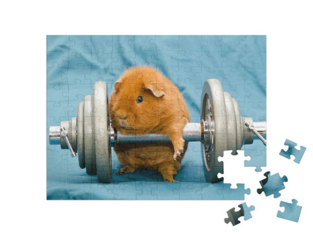 puzzle 100 dílků „Malinké morče na obří čince“