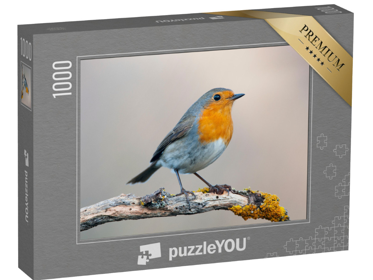 puzzle 1000 dílků „Zvědavý robin“