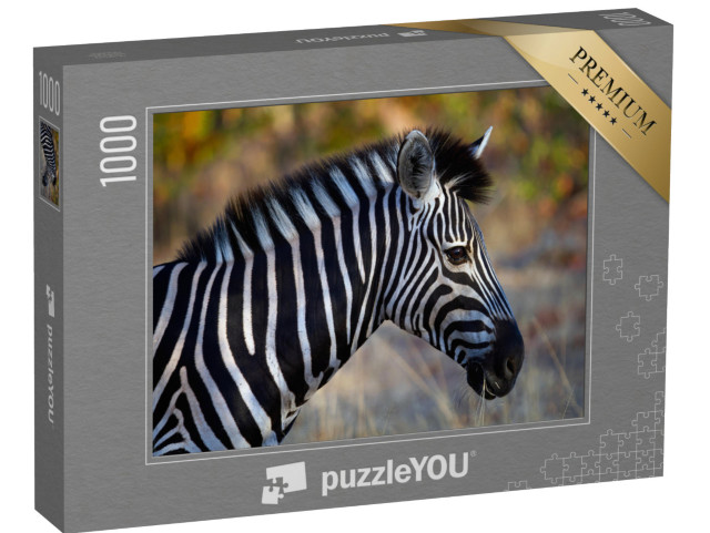 puzzle 1000 dílků „Boční portrét zebry“