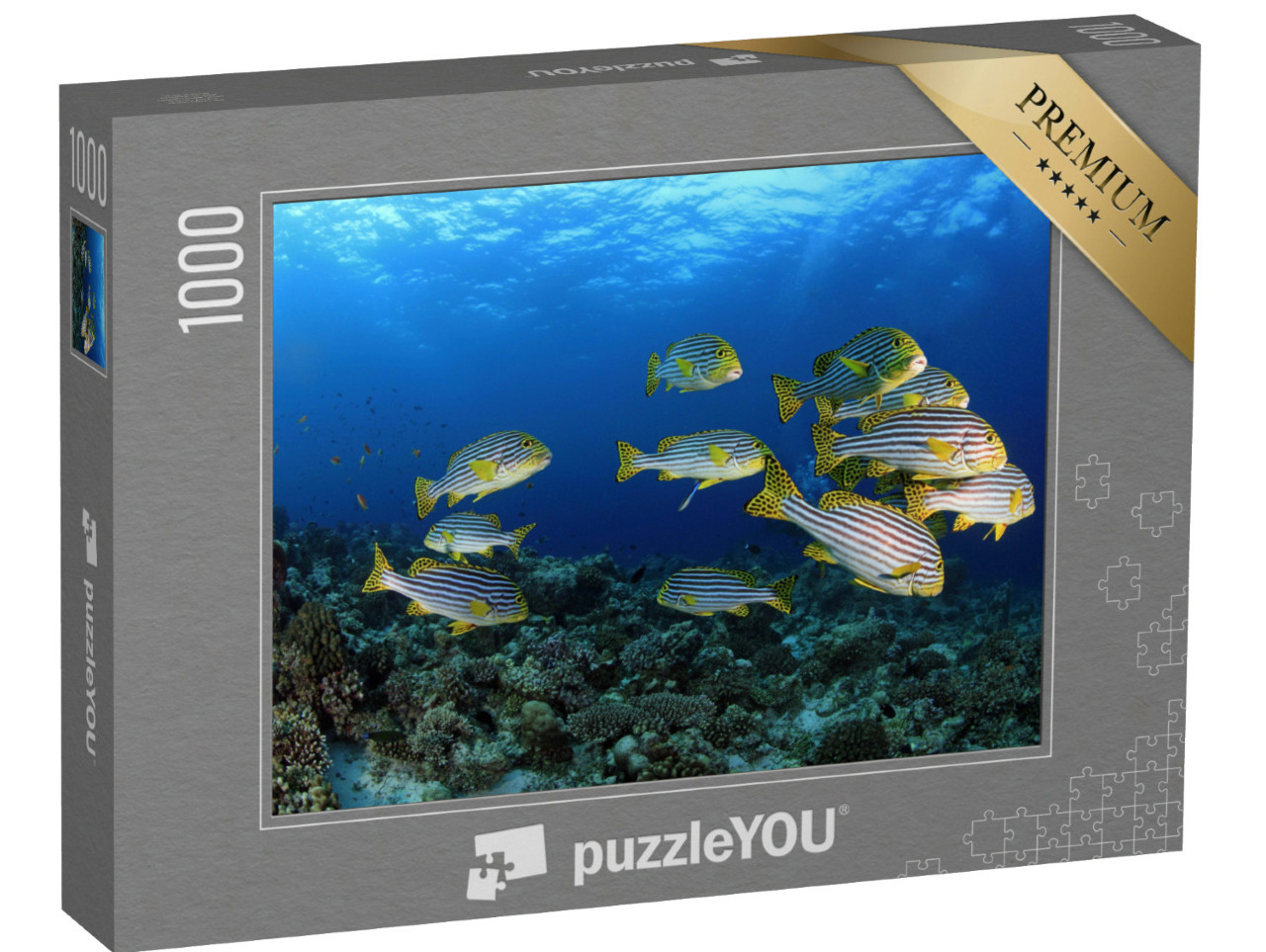 puzzle 1000 dílků „Oriental sweetlips v tropických vodách Malediv“