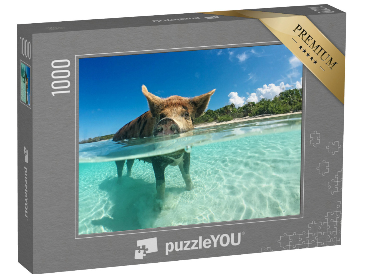 puzzle 1000 dílků „Vodomilní divočáci na Bahamách, Karibik“