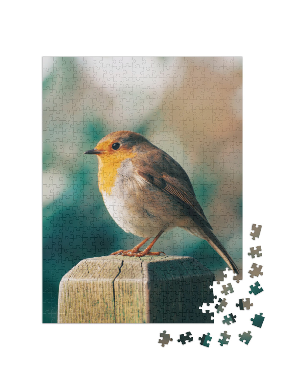 puzzle 500 dílků „Robin na sloupku plotu“