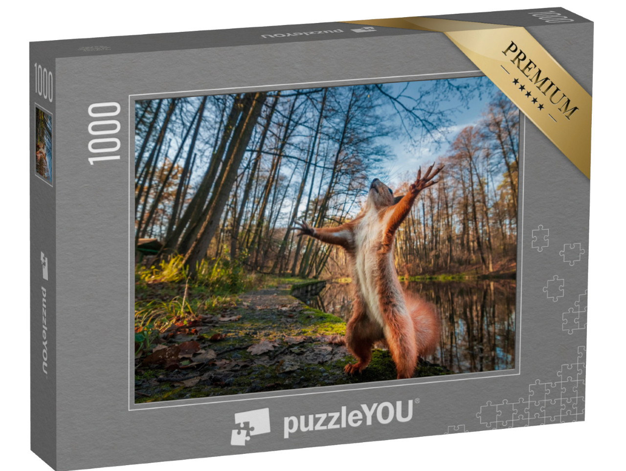 puzzle 1000 dílků „Vtipné pózy červené veverky v lese“