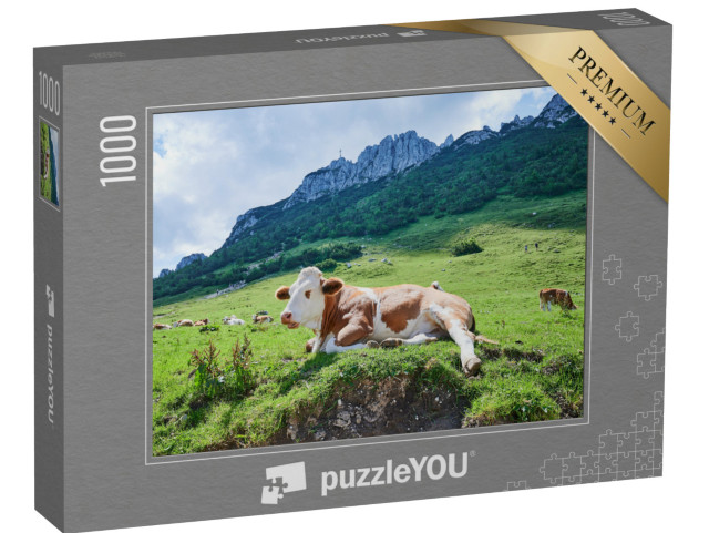 puzzle 1000 dílků „Kráva před Kampenwandem, Bavorsko, Německo“