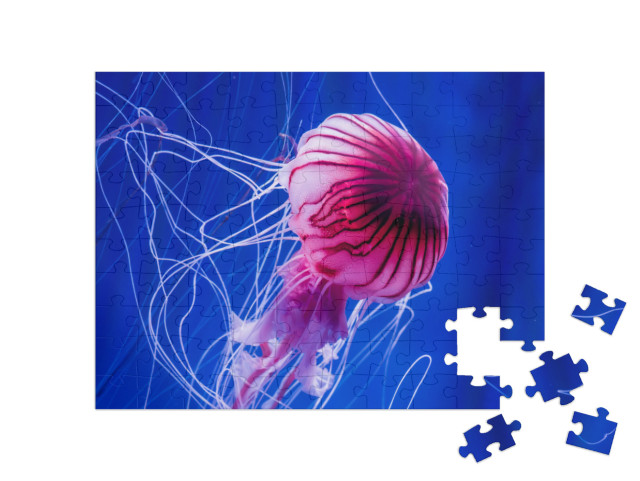 puzzle 100 dílků „Růžové medúzy na pozadí modrého moře“
