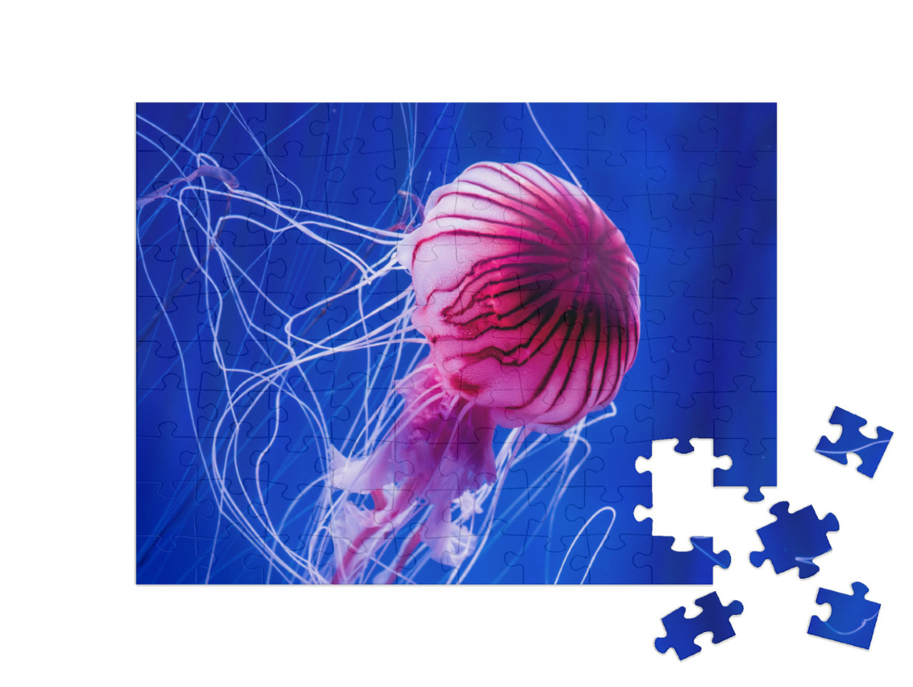 puzzle 100 dílků „Růžové medúzy na pozadí modrého moře“