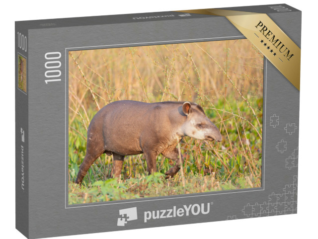 puzzle 1000 dílků „Tapír nížinný v brazilské džungli“
