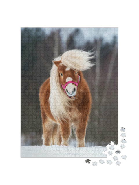 puzzle 1000 dílků „Mini hřebec shetlandského poníka s krásnou hřívou“