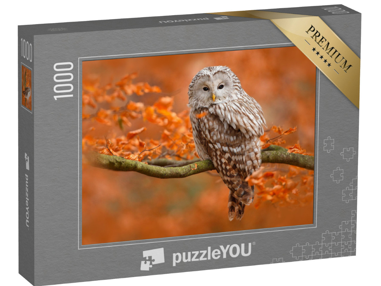 puzzle 1000 dílků „Podzimní fotografie se sovou uralskou, sedící na větvi v dubovém lese, Norsko“