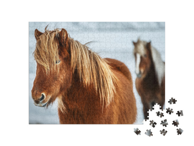 puzzle 500 dílků „Portrét krásného islandského koně“