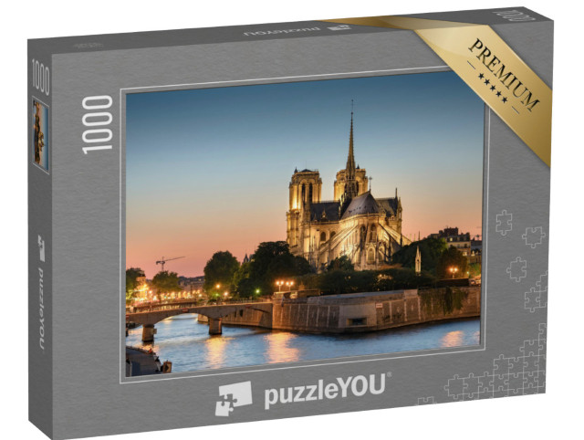 puzzle 1000 dílků „Krásně osvětlené: Notre Dame de Paris“