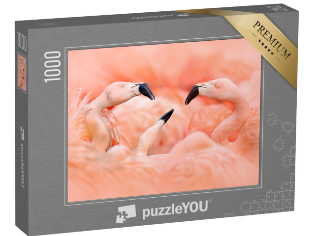 puzzle 1000 dílků „Růžoví plameňáci“