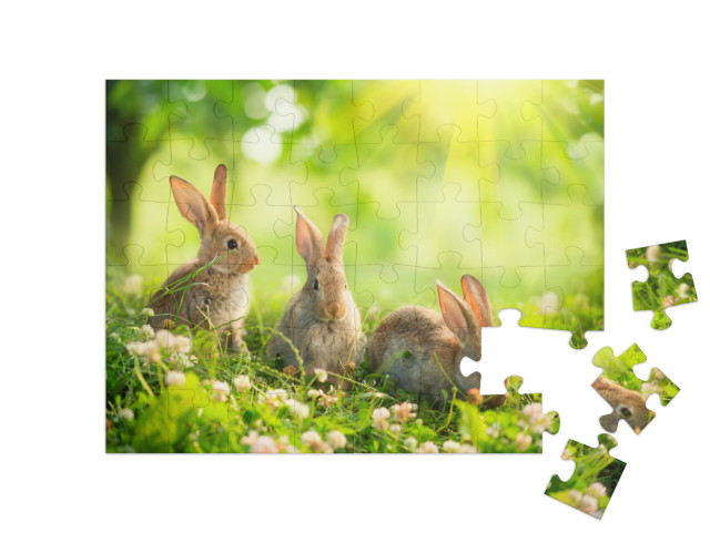 puzzle 48 dílků „Roztomilí králíci na jarní louce“