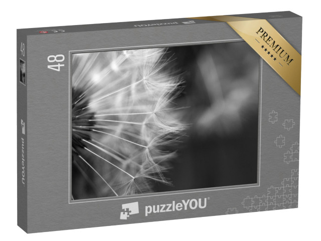 puzzle 48 dílků „Makrofotografie pampelišky“