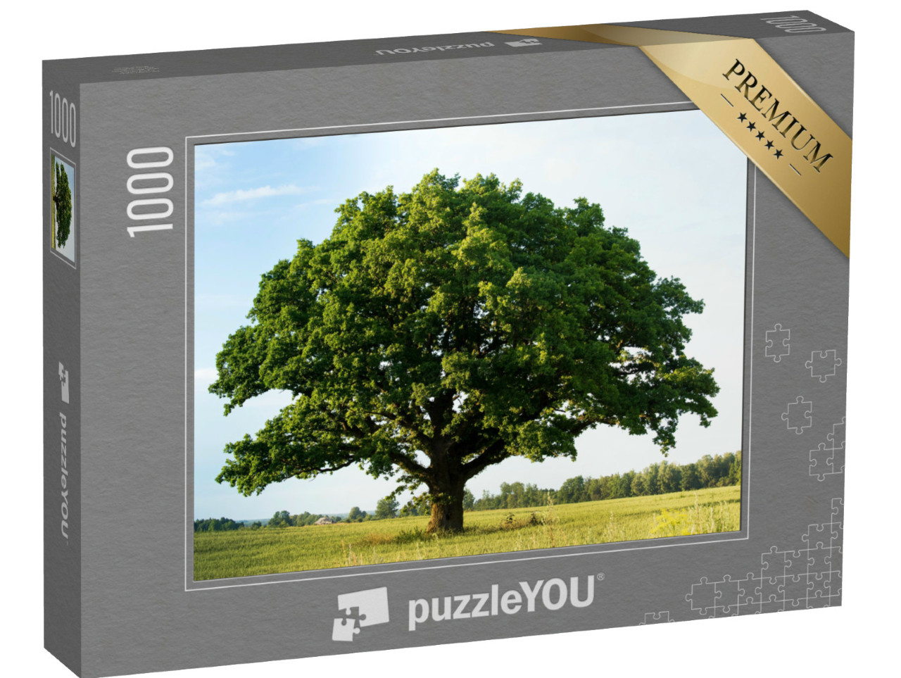 puzzle 1000 dílků „Osamělý zelený dub v poli“
