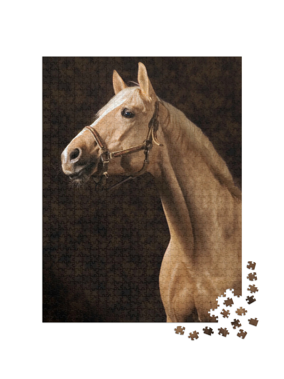puzzle 1000 dílků „Krásný kůň Palomino“