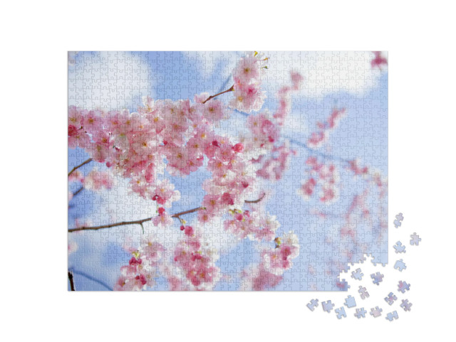 puzzle 1000 dílků „Sakura: Růžově kvetoucí třešně na jaře v Japonsku“