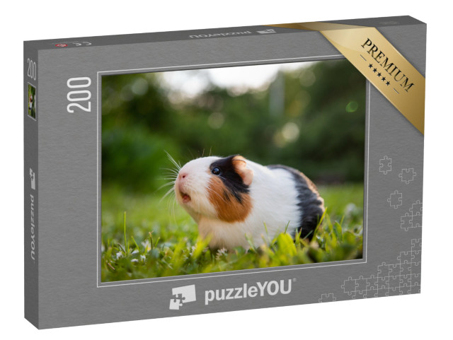 puzzle 200 dílků „Morčata na louce“