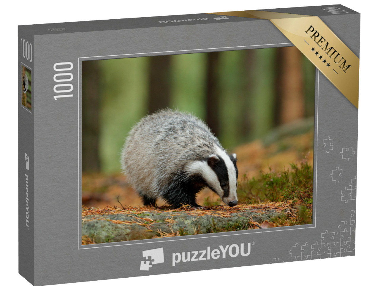 puzzle 1000 dílků „Jezevec v deštivém dni v přírodě, Německo“