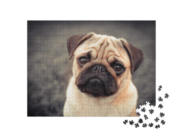 puzzle 1000 dílků „Štěně mopse“
