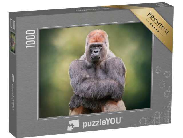 puzzle 1000 dílků „Portrét gorily stříbrohřbeté křížící ruce“
