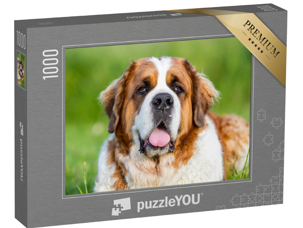 puzzle 1000 dílků „Detailní záběr bernardýna“