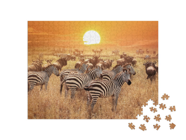 puzzle 500 dílků „Zebra při západu slunce v národním parku Serengeti, Afrika, Tanzanie“